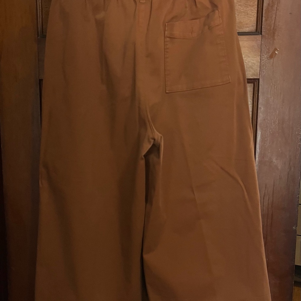 J. Crew Rust Brown Elastic-Waist Pants